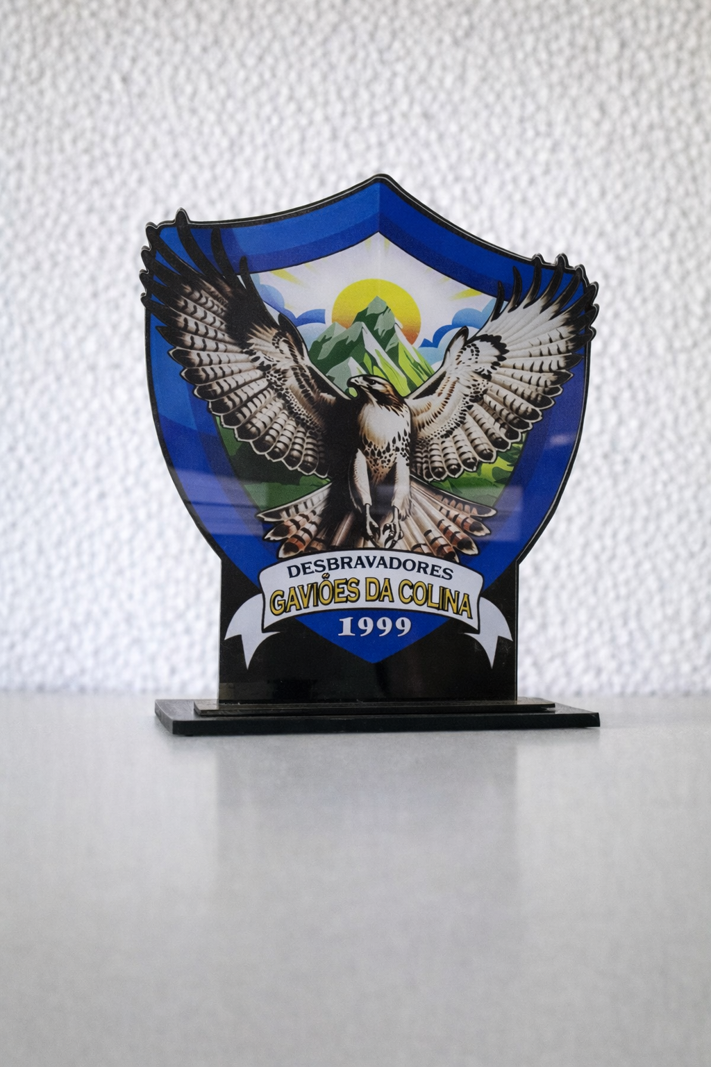 Troféu em Acrílico - Linha Plus: Estiloso e com Design Exclusivo - Troféus - Laser Link